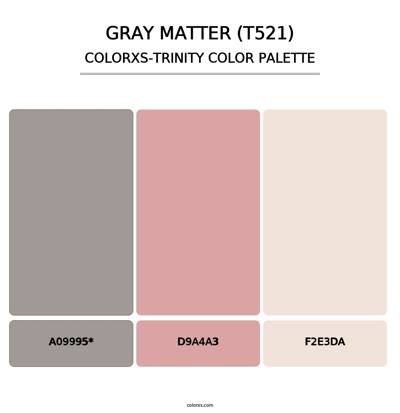 Gray Matter (T521) - Colorxs Trinity Palette
