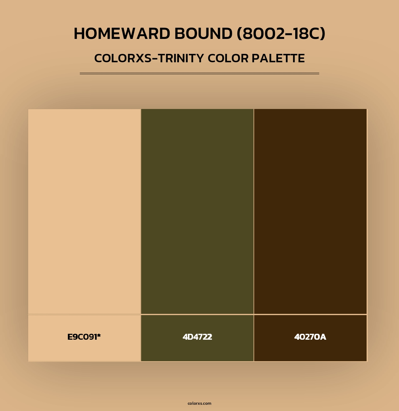 Homeward Bound (8002-18C) - Colorxs Trinity Palette