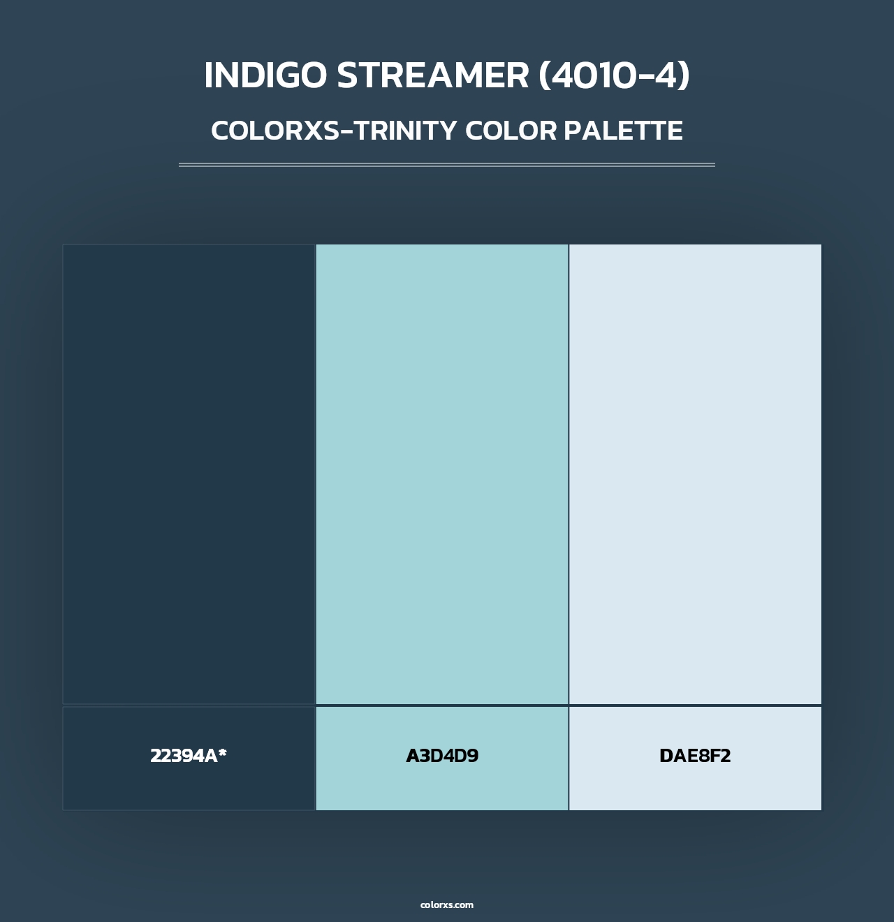 Indigo Streamer (4010-4) - Colorxs Trinity Palette
