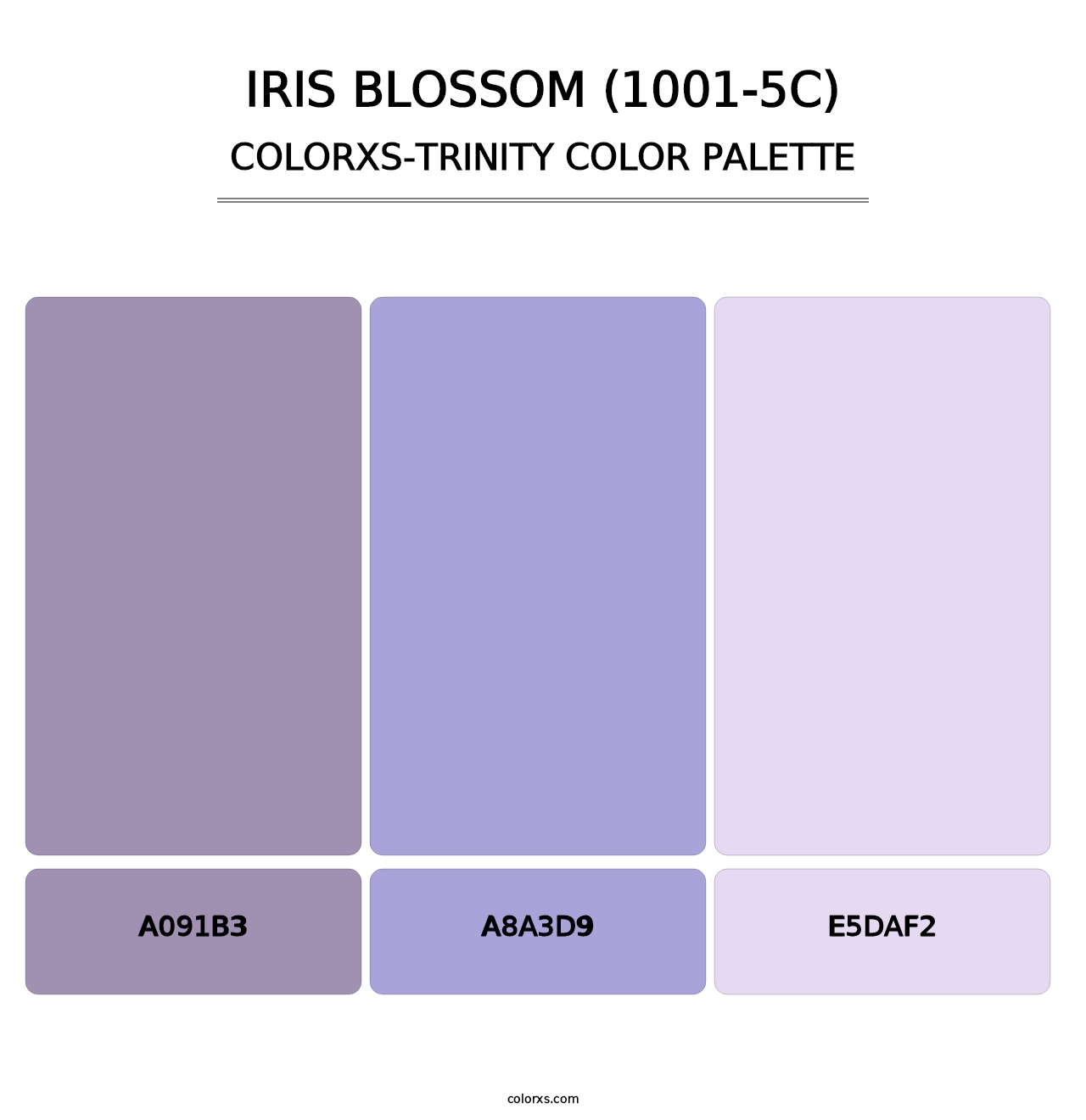 Iris Blossom (1001-5C) - Colorxs Trinity Palette