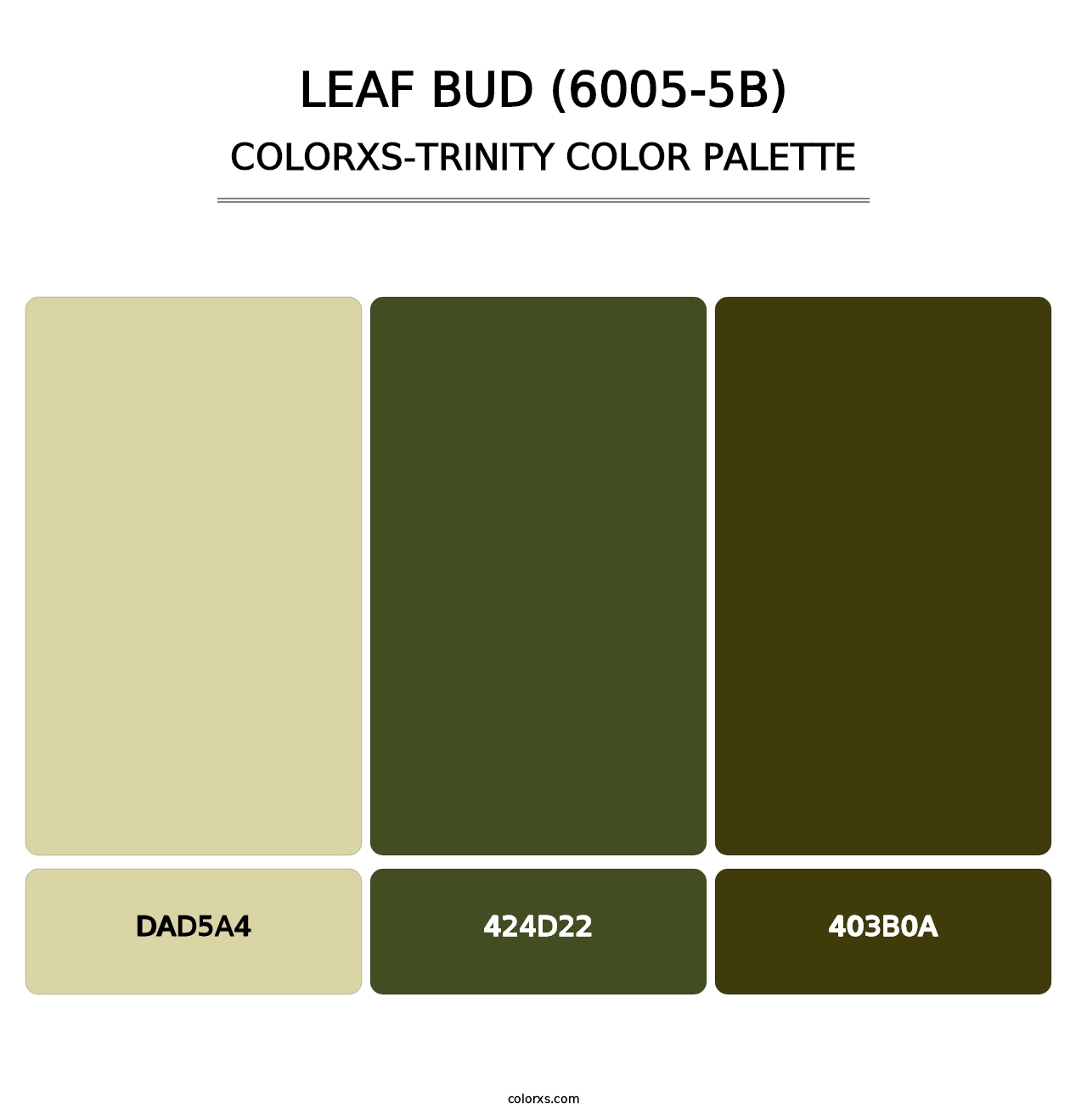 Leaf Bud (6005-5B) - Colorxs Trinity Palette