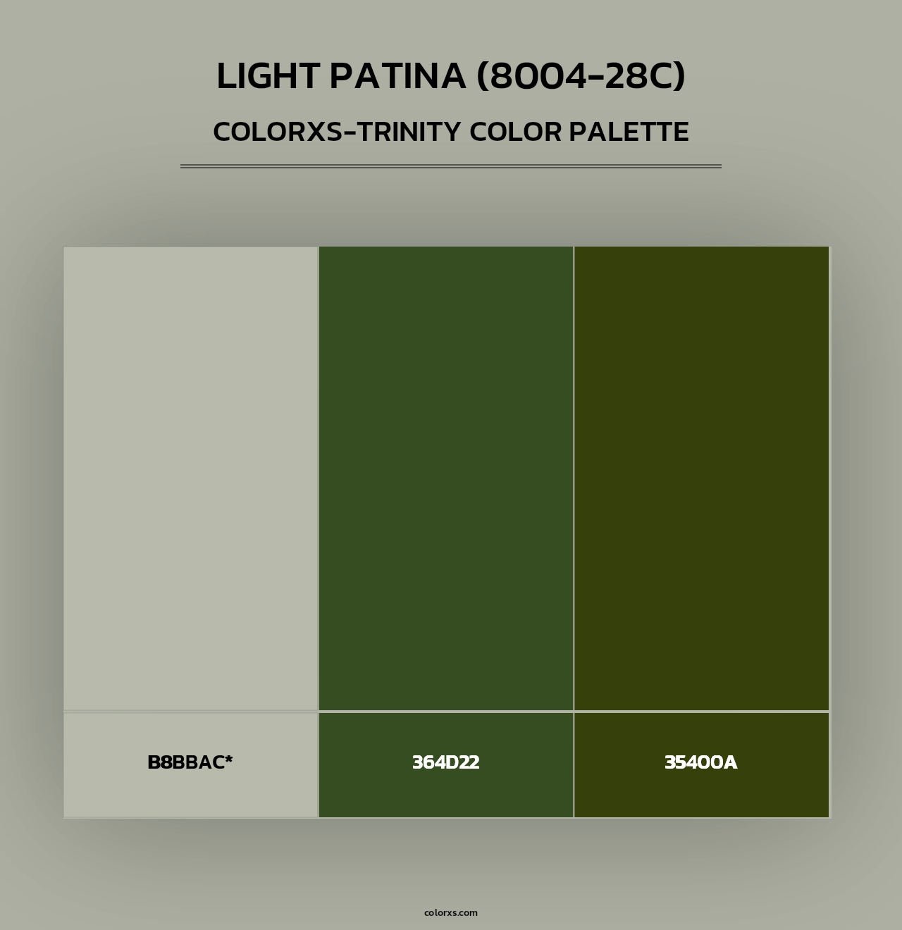 Light Patina (8004-28C) - Colorxs Trinity Palette