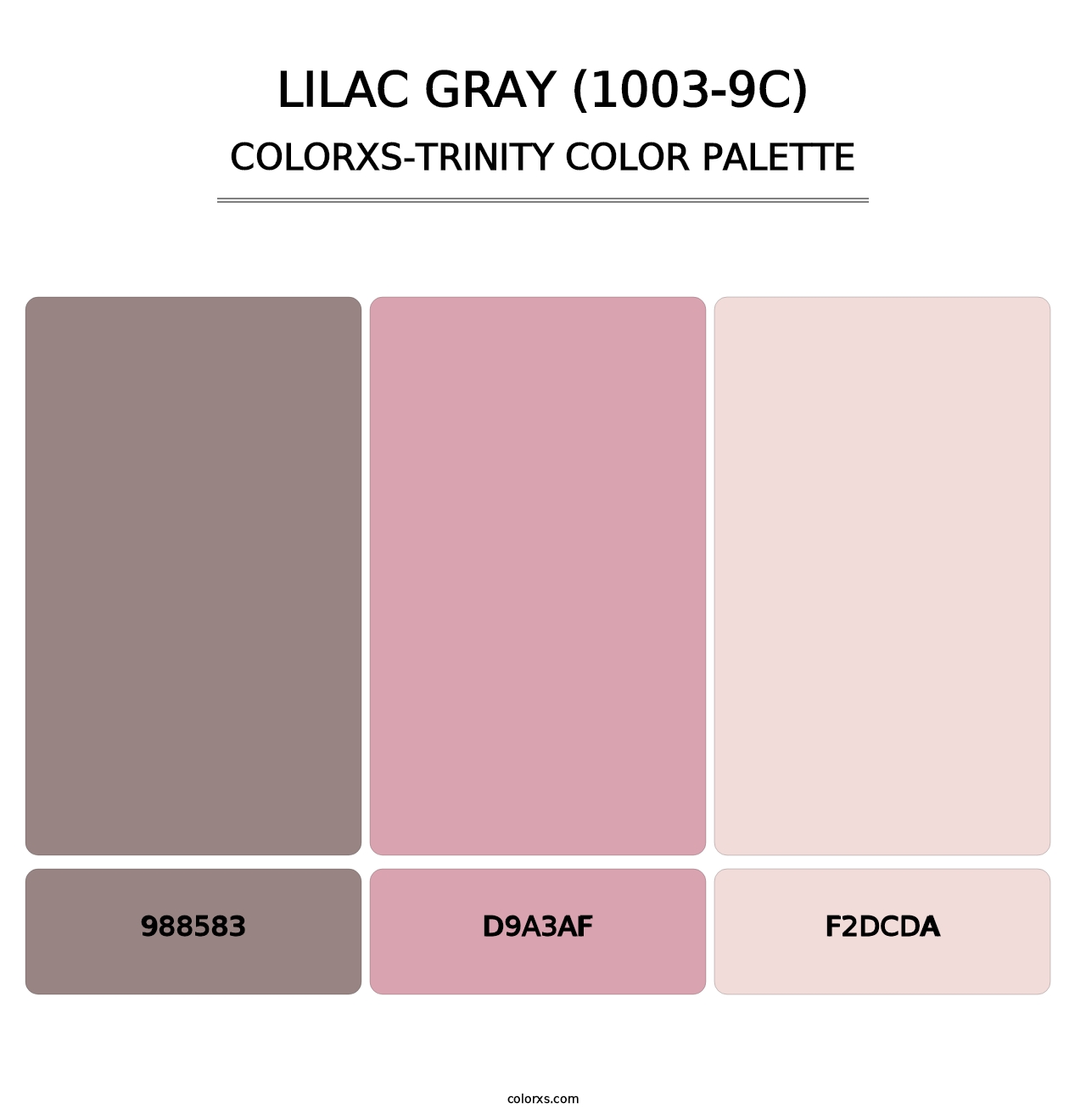 Lilac Gray (1003-9C) - Colorxs Trinity Palette