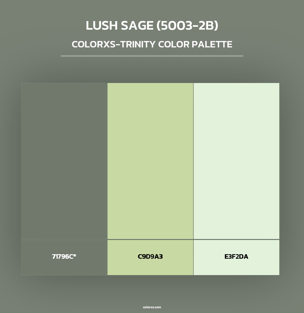 Lush Sage (5003-2B) - Colorxs Trinity Palette