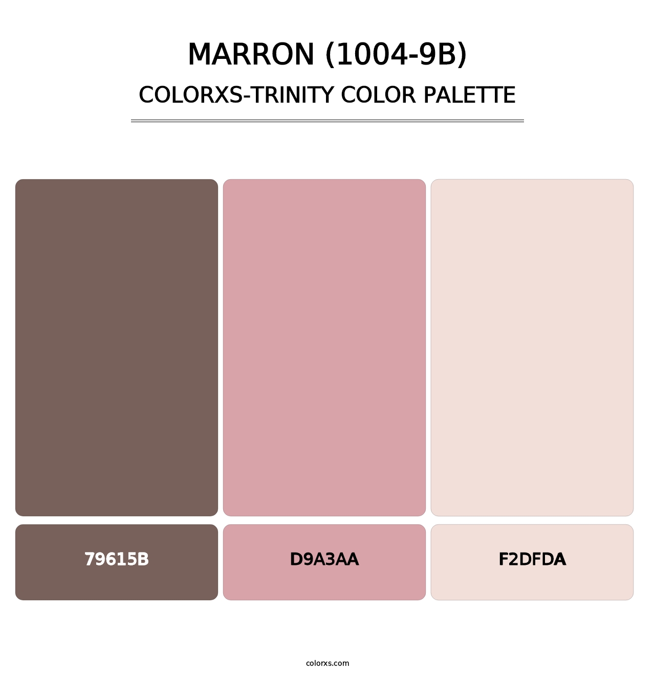 Marron (1004-9B) - Colorxs Trinity Palette