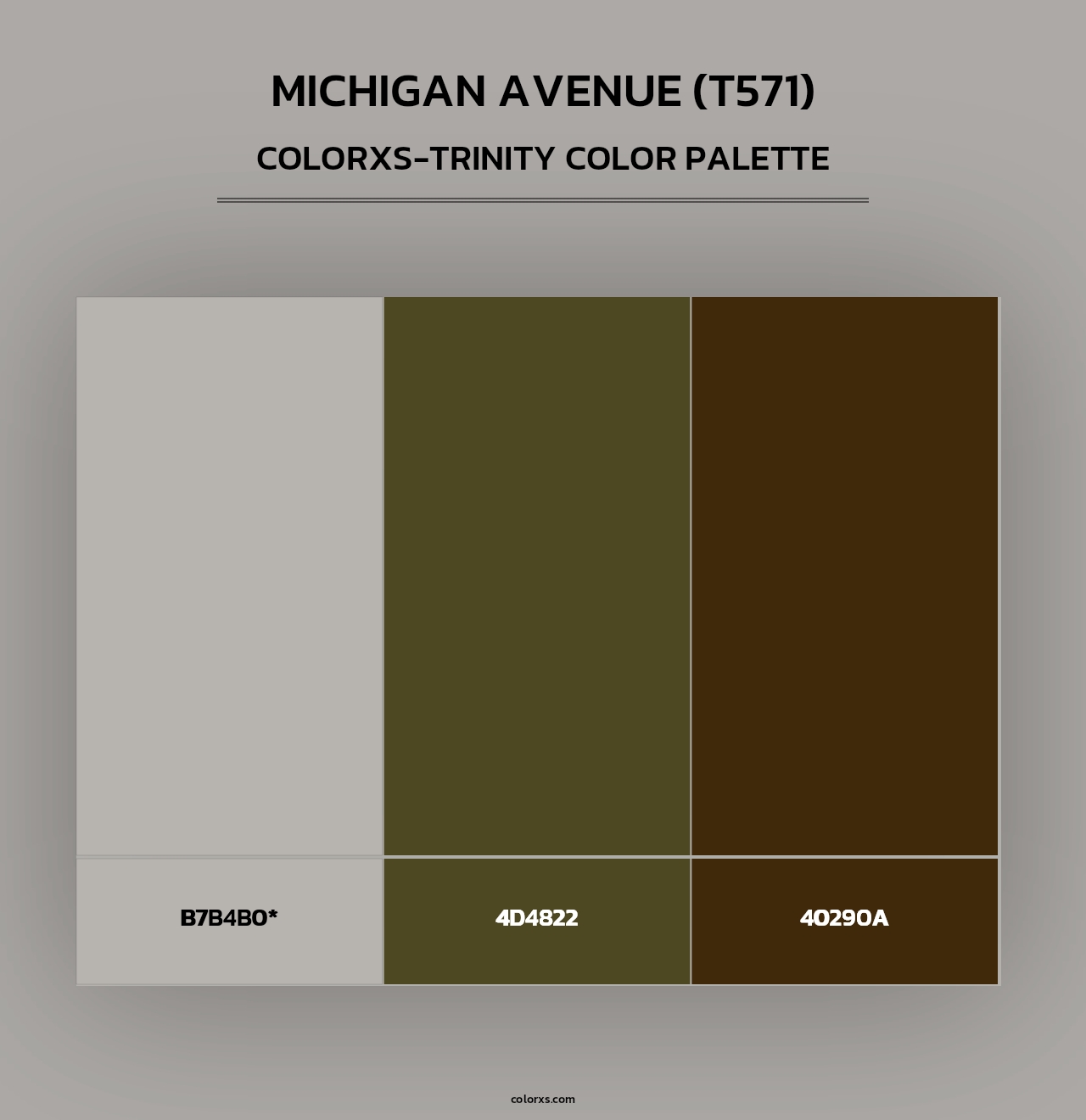 Michigan Avenue (T571) - Colorxs Trinity Palette