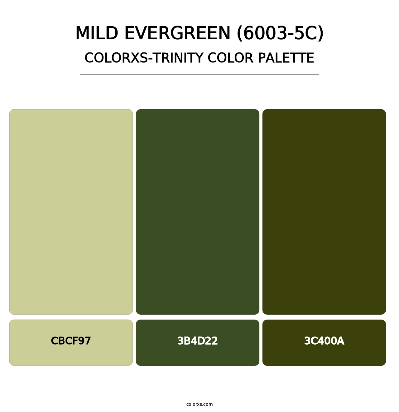 Mild Evergreen (6003-5C) - Colorxs Trinity Palette