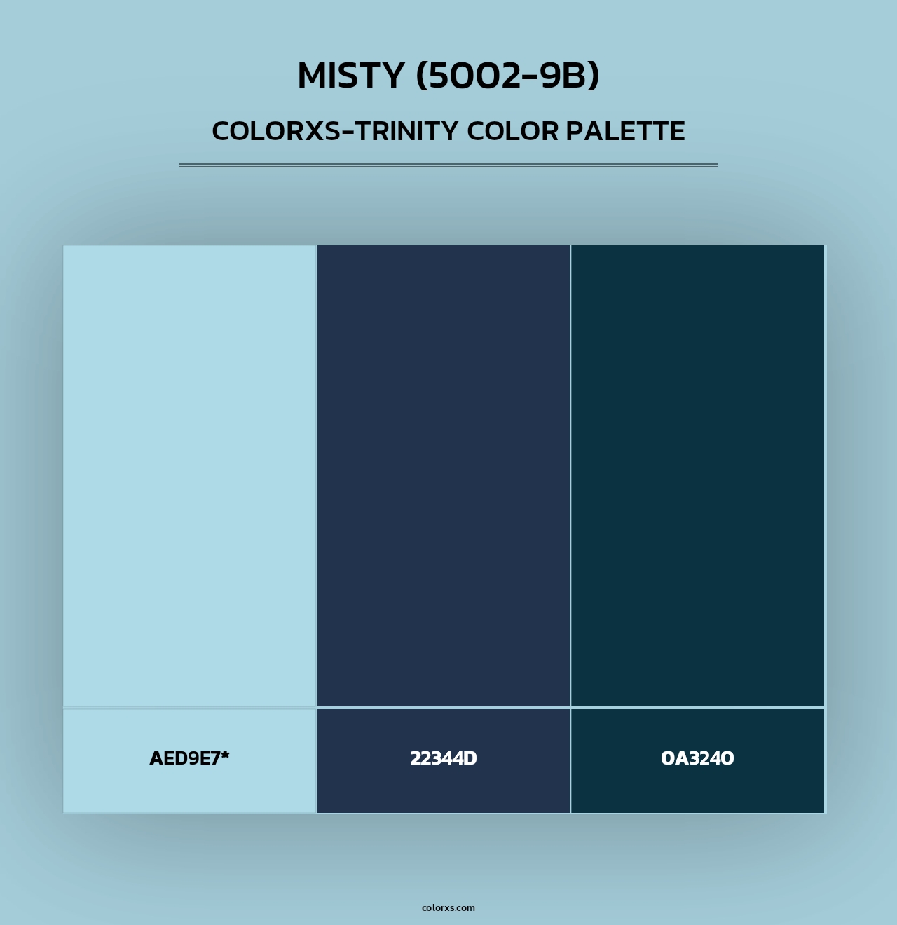 Misty (5002-9B) - Colorxs Trinity Palette