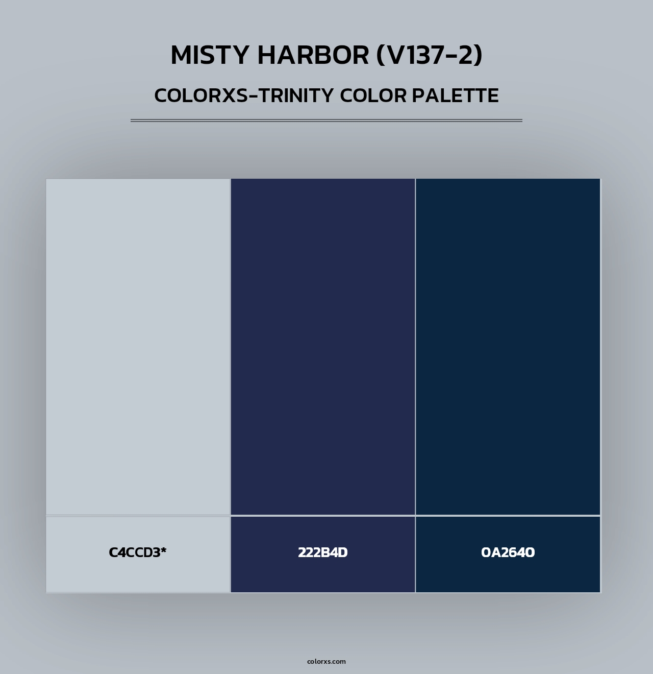 Misty Harbor (V137-2) - Colorxs Trinity Palette