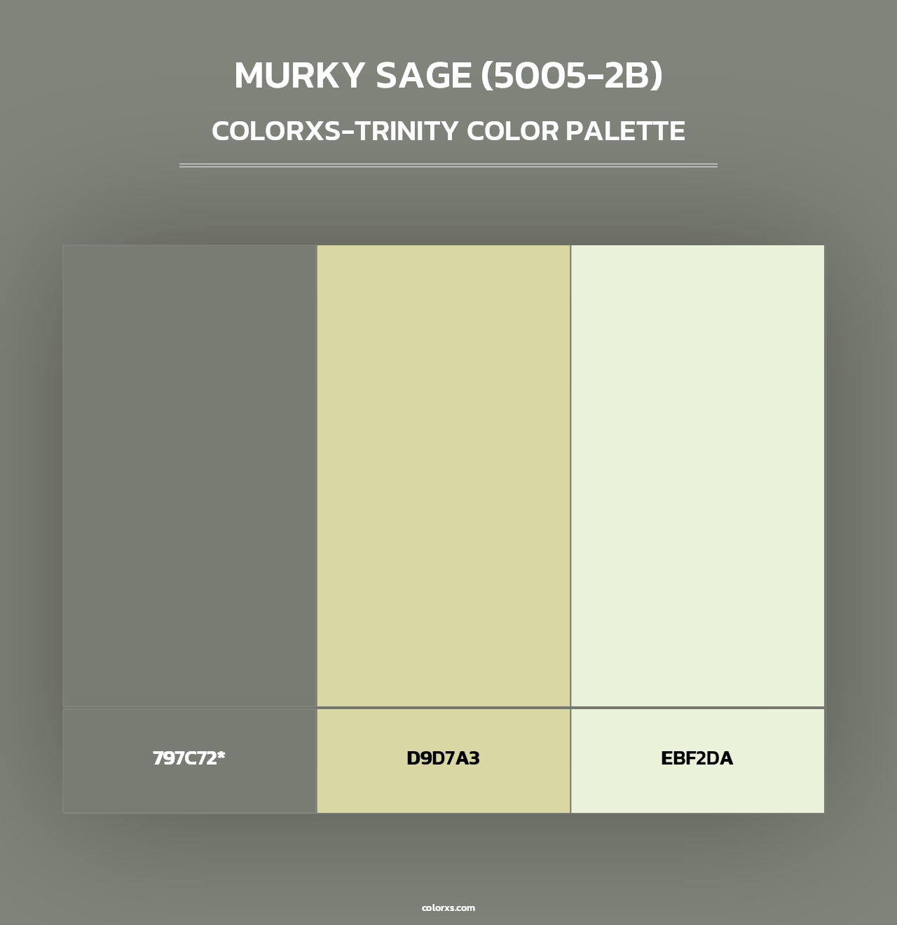 Murky Sage (5005-2B) - Colorxs Trinity Palette