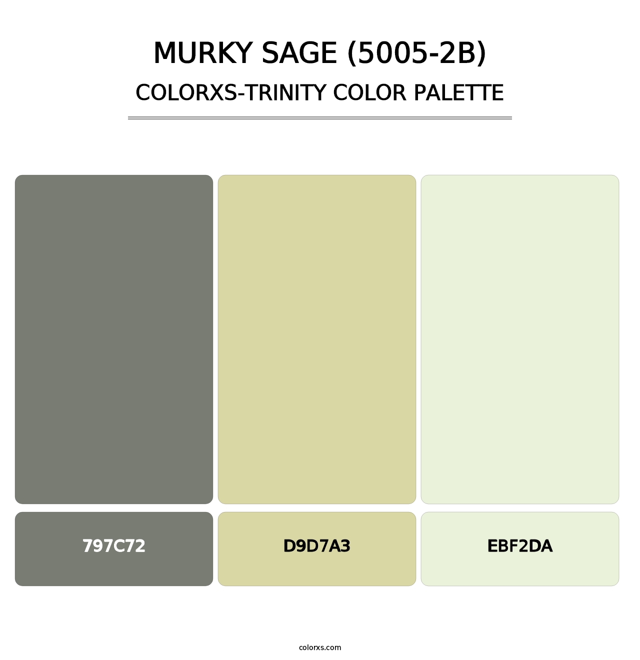 Murky Sage (5005-2B) - Colorxs Trinity Palette