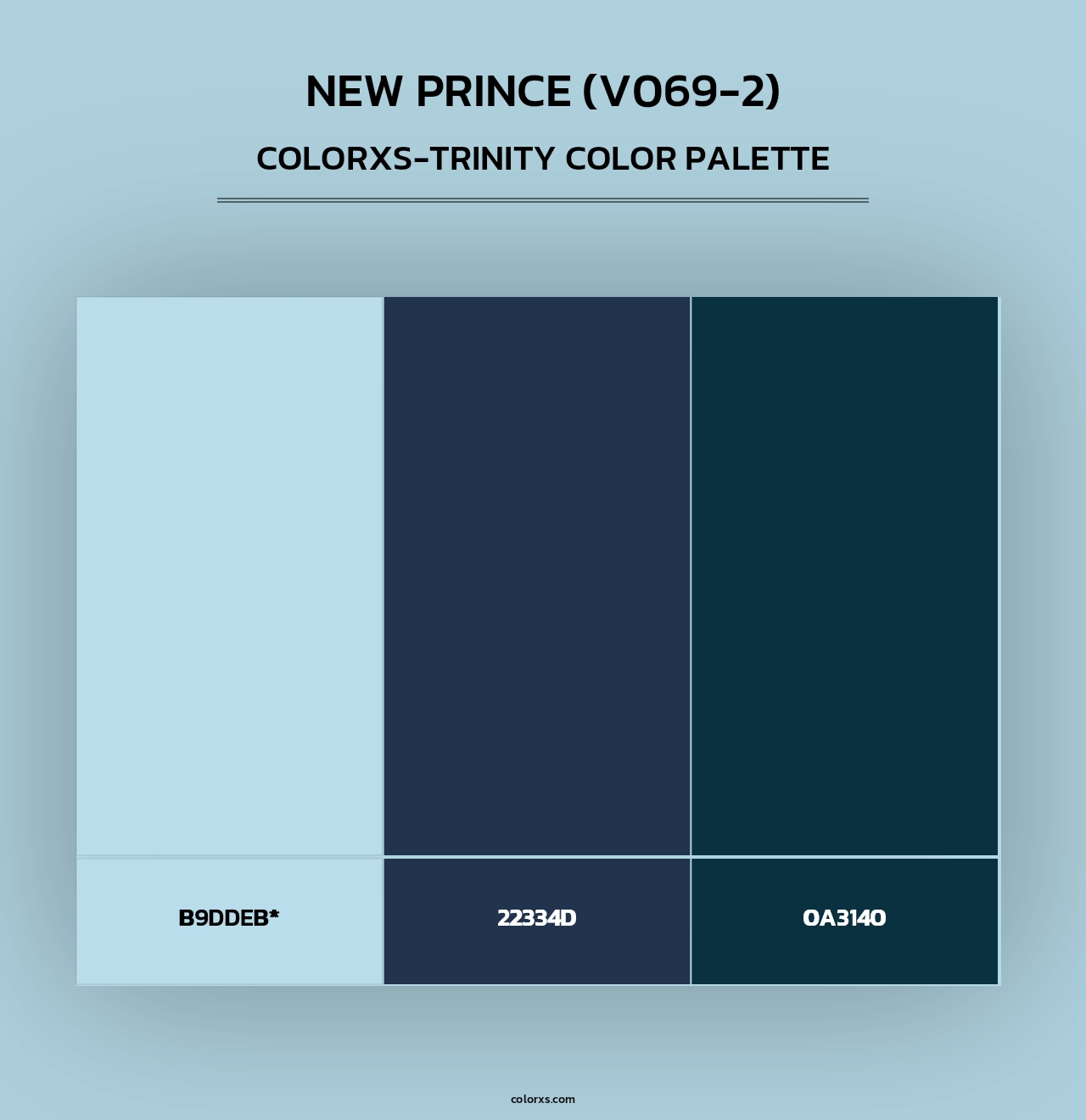 New Prince (V069-2) - Colorxs Trinity Palette