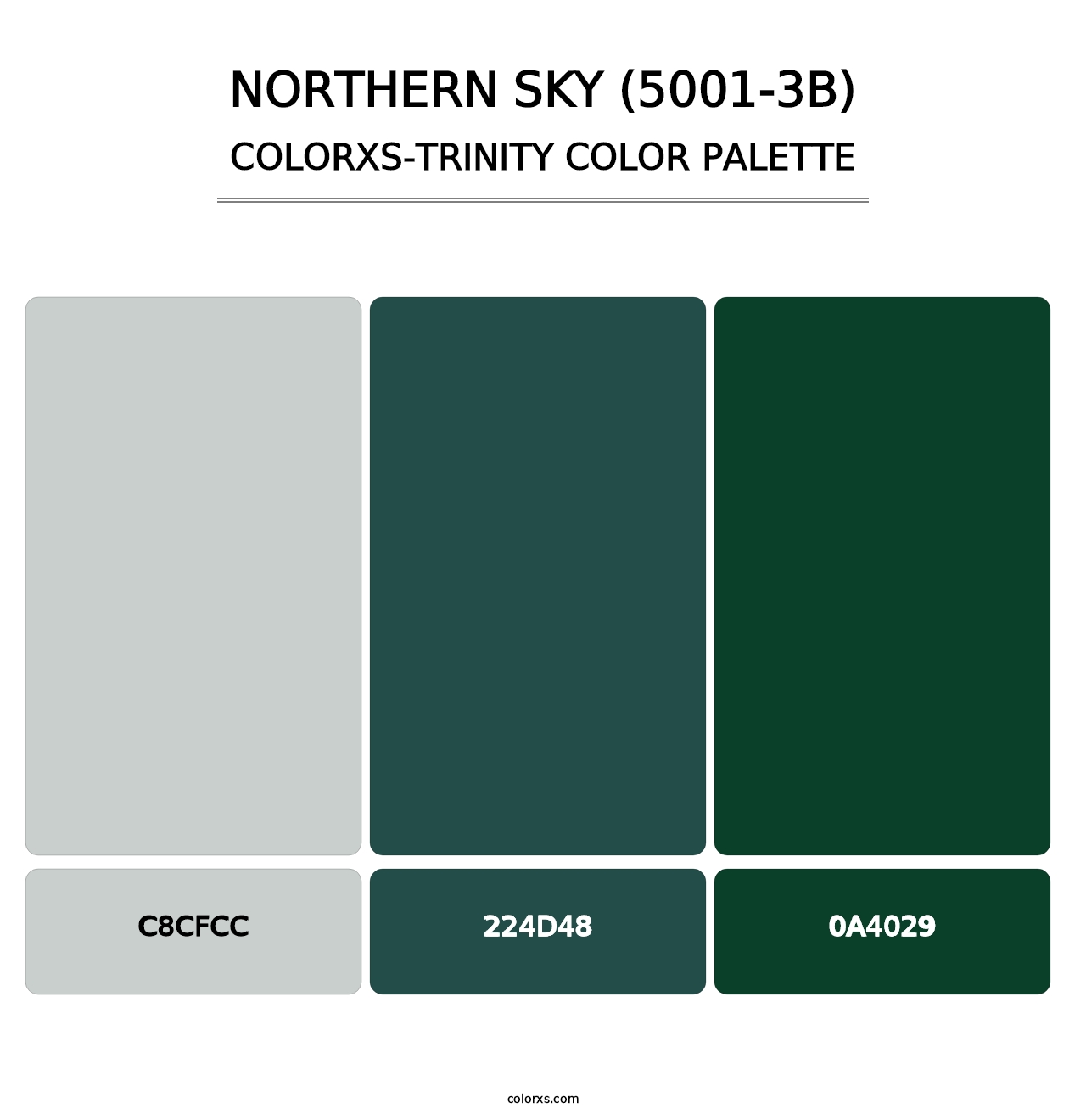 Northern Sky (5001-3B) - Colorxs Trinity Palette
