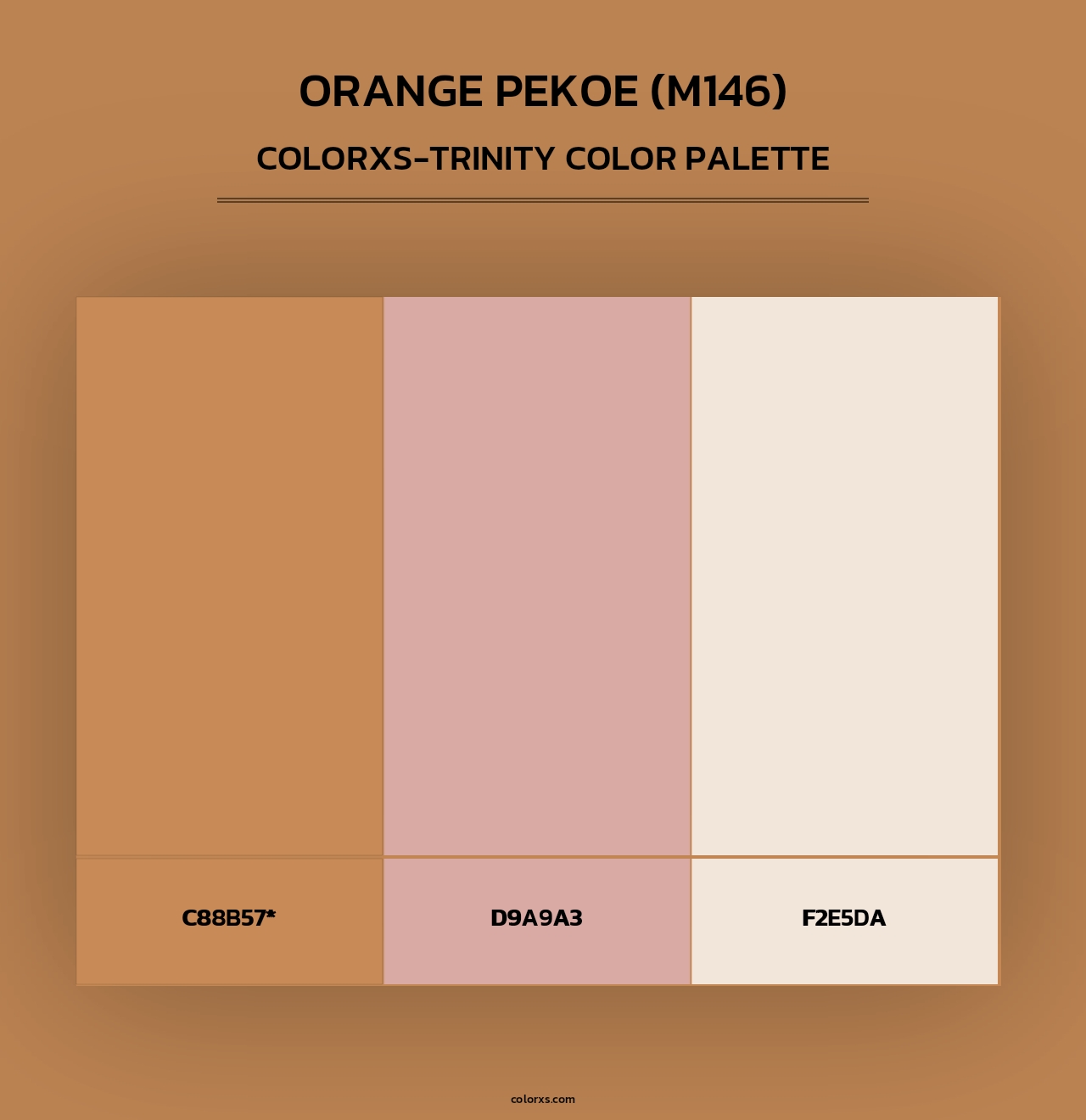 Orange Pekoe (M146) - Colorxs Trinity Palette