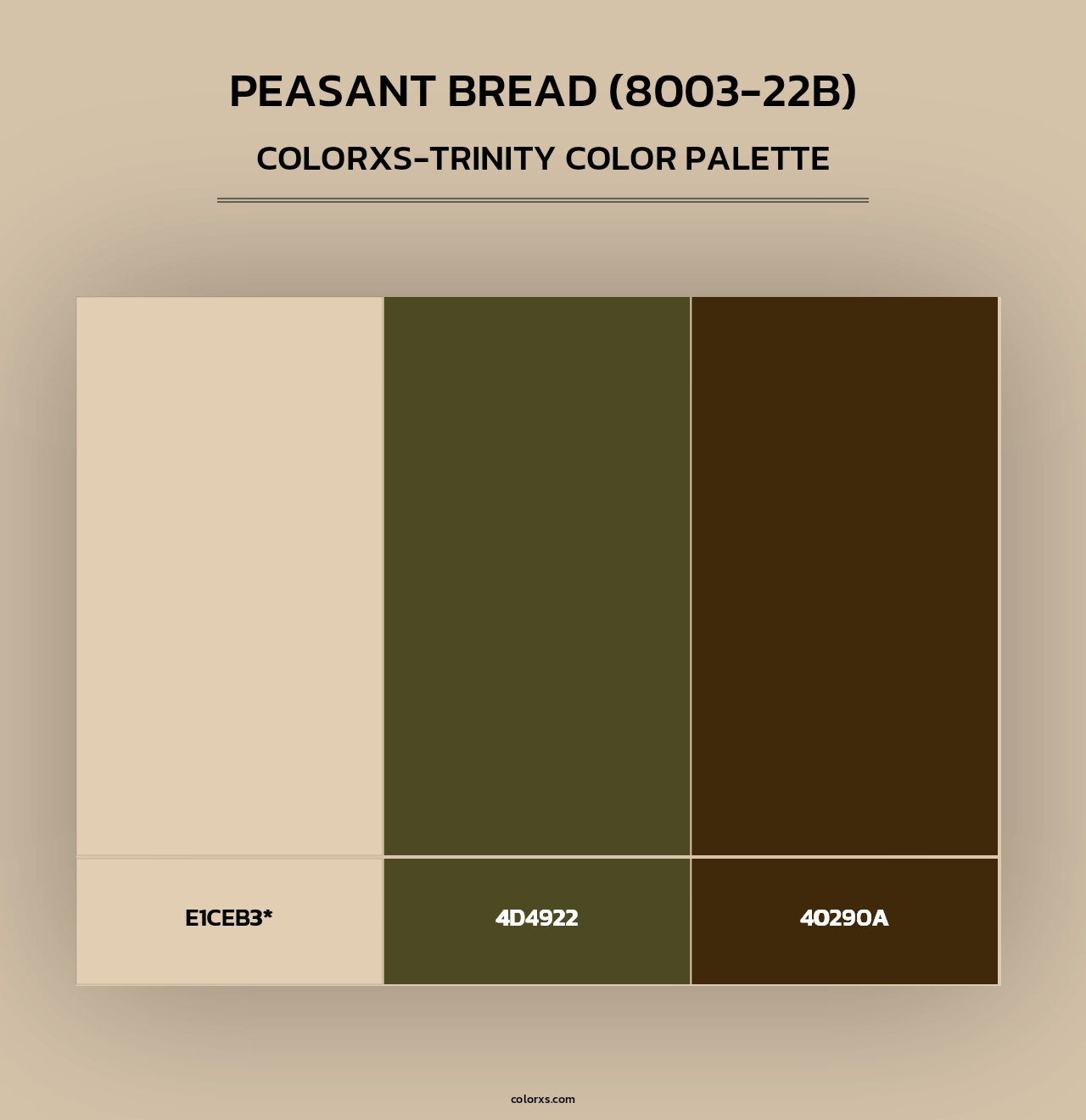 Peasant Bread (8003-22B) - Colorxs Trinity Palette