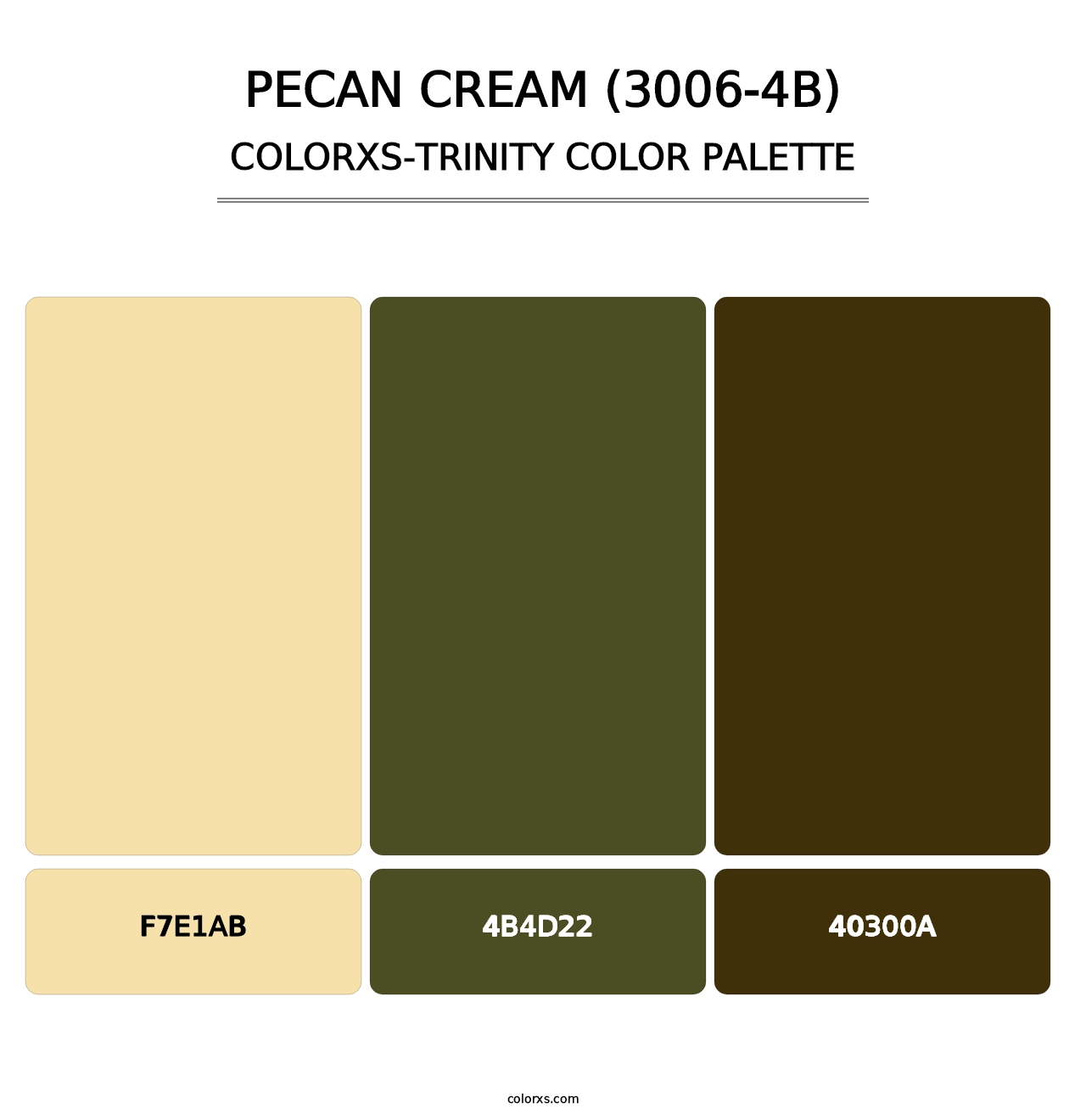 Pecan Cream (3006-4B) - Colorxs Trinity Palette