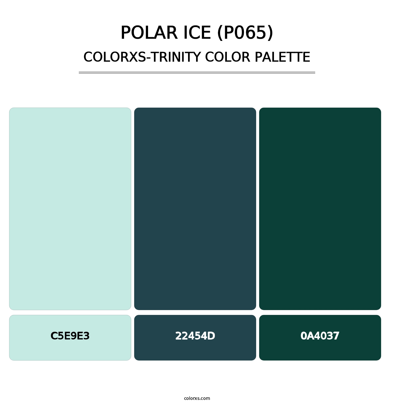 Polar Ice (P065) - Colorxs Trinity Palette
