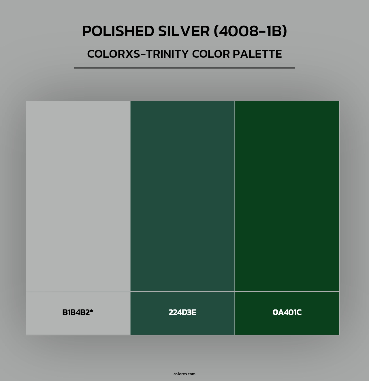 Polished Silver (4008-1B) - Colorxs Trinity Palette