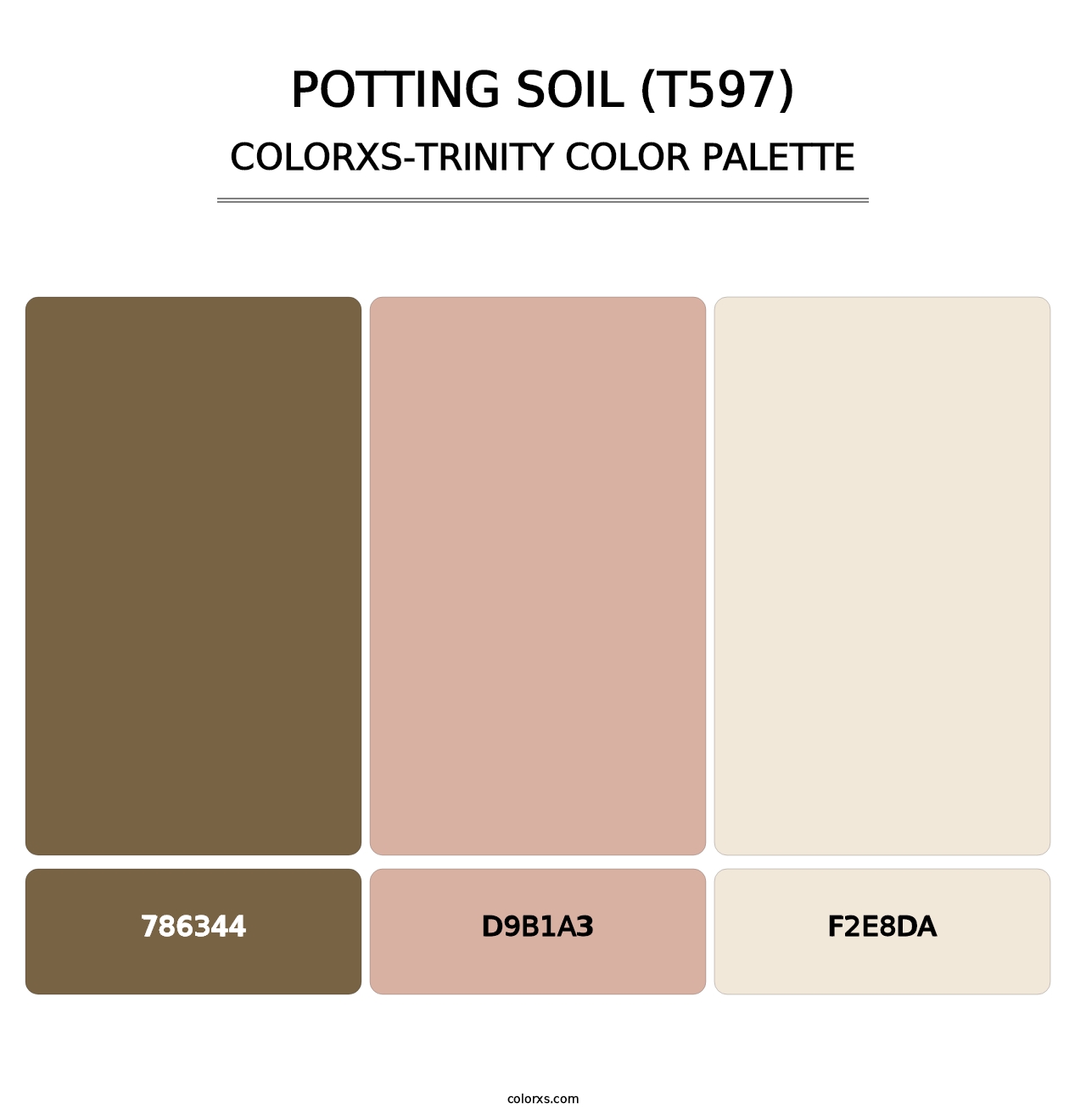 Potting Soil (T597) - Colorxs Trinity Palette