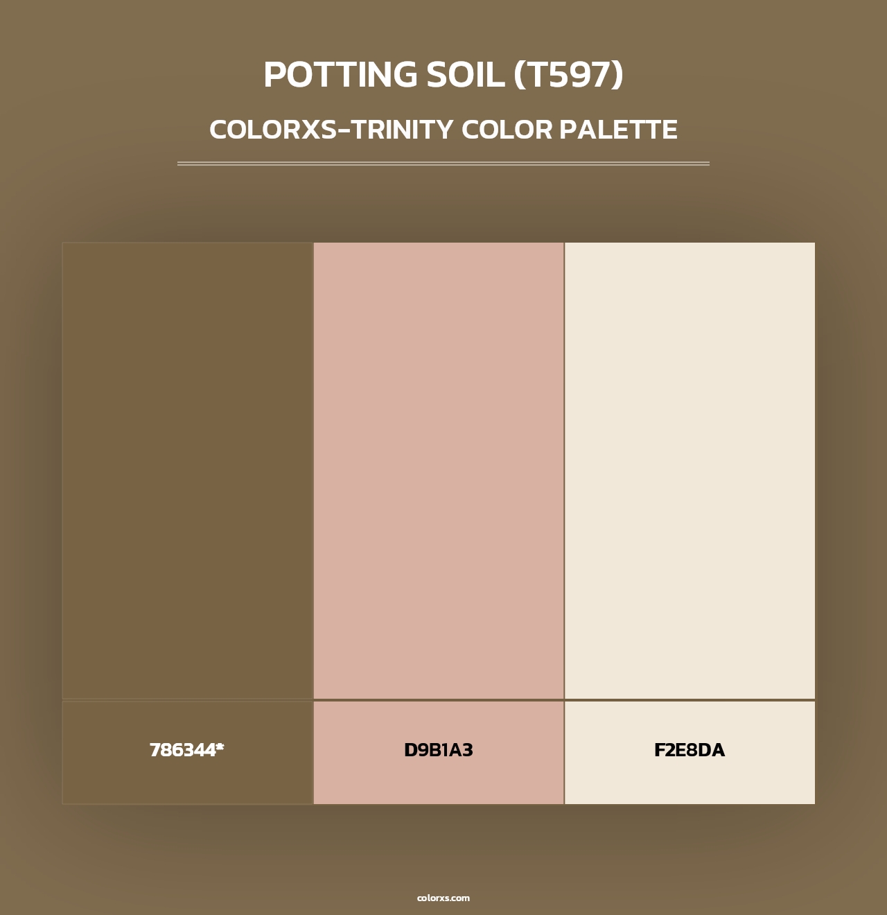 Potting Soil (T597) - Colorxs Trinity Palette