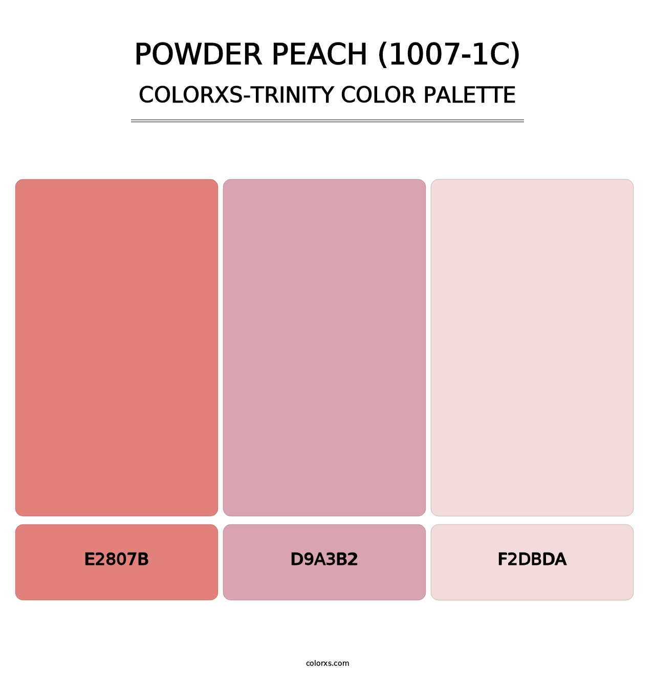 Powder Peach (1007-1C) - Colorxs Trinity Palette