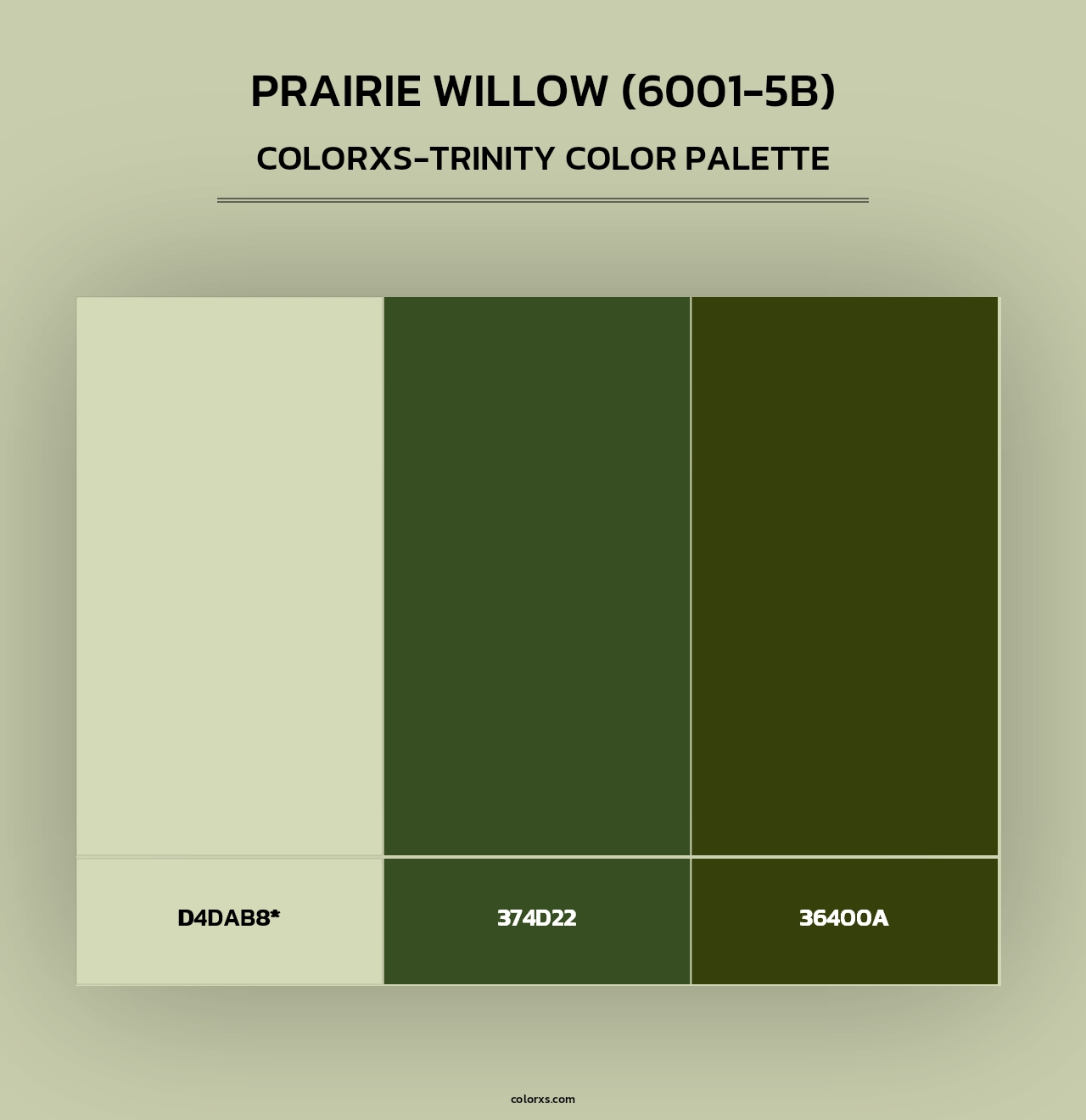 Prairie Willow (6001-5B) - Colorxs Trinity Palette