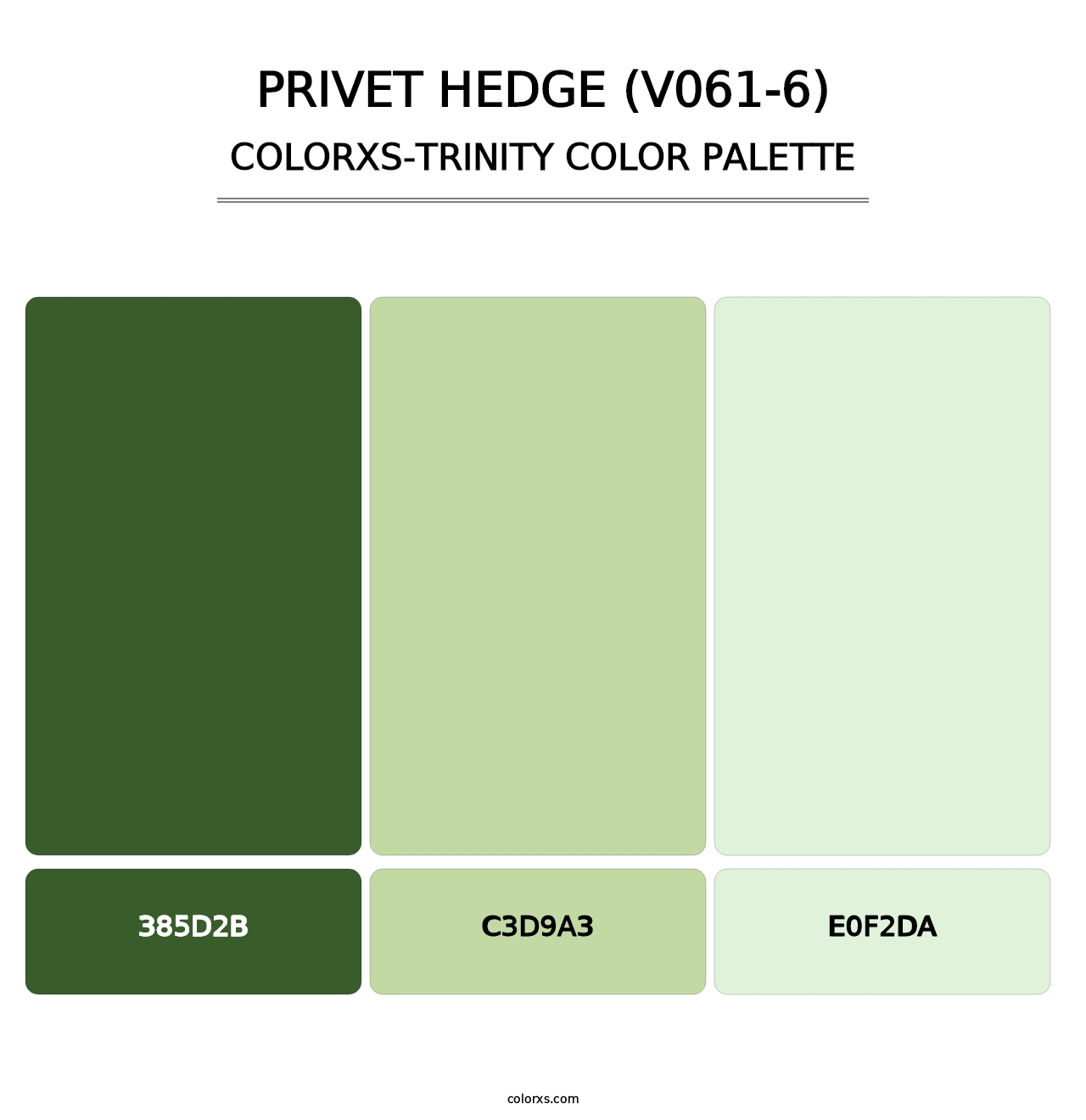 Privet Hedge (V061-6) - Colorxs Trinity Palette