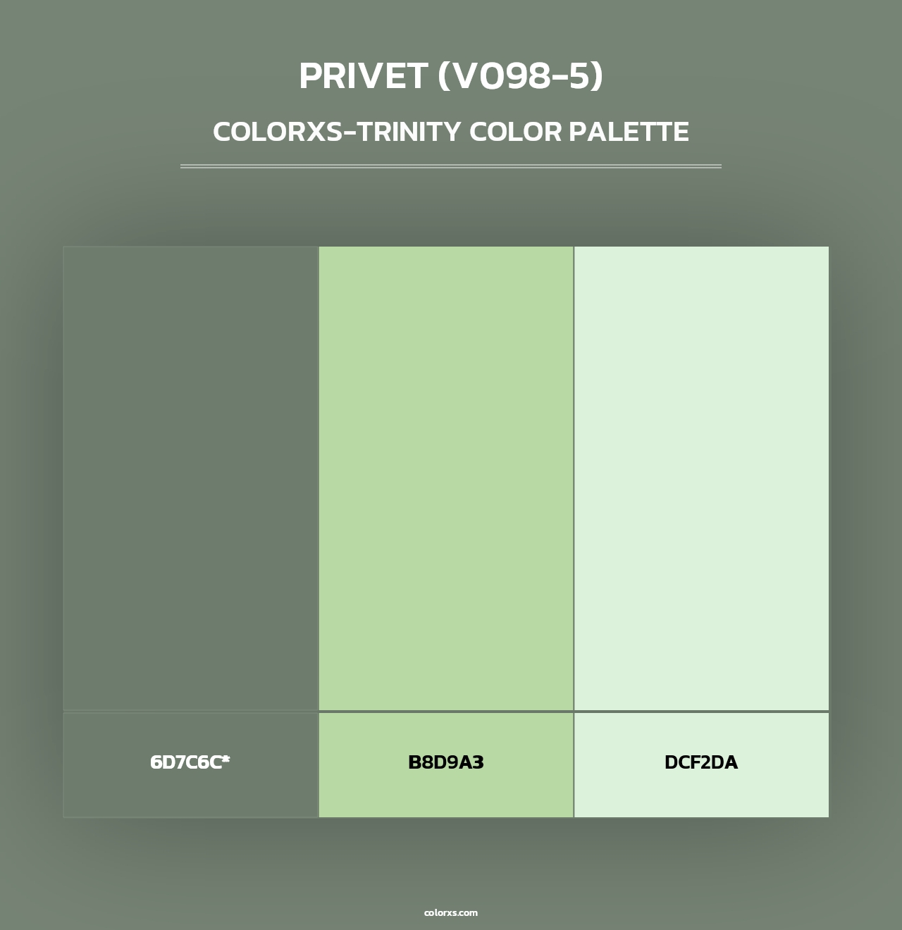 Privet (V098-5) - Colorxs Trinity Palette