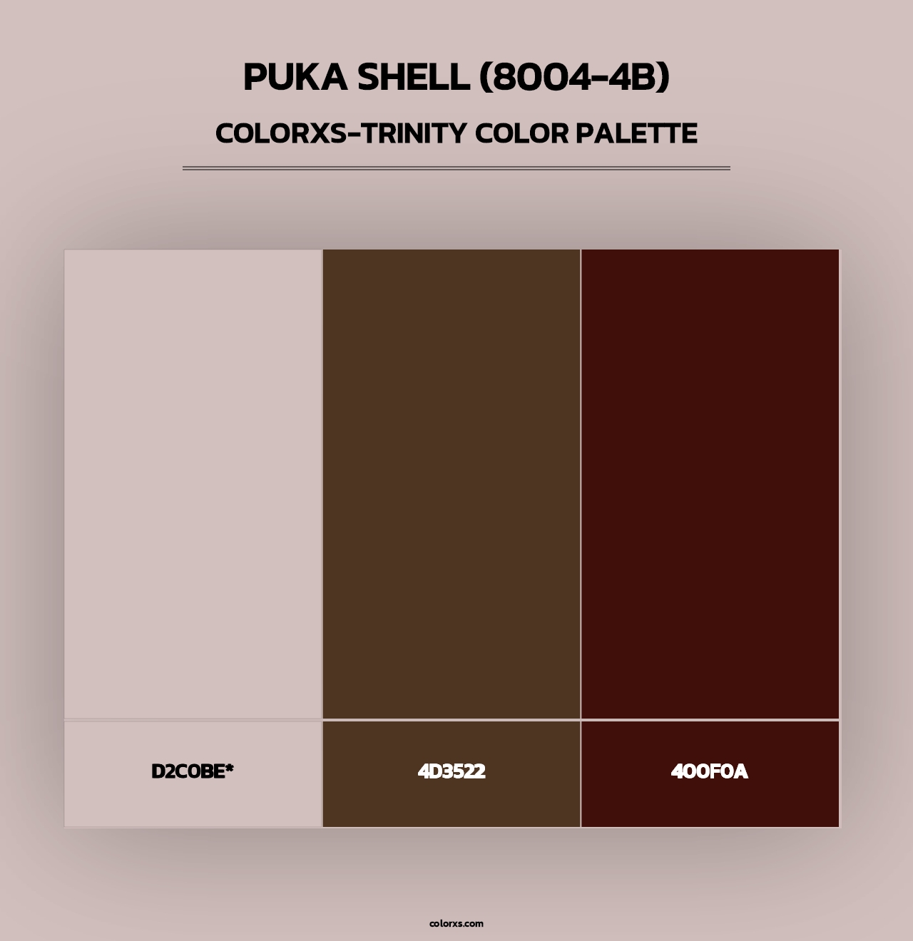 Puka Shell (8004-4B) - Colorxs Trinity Palette