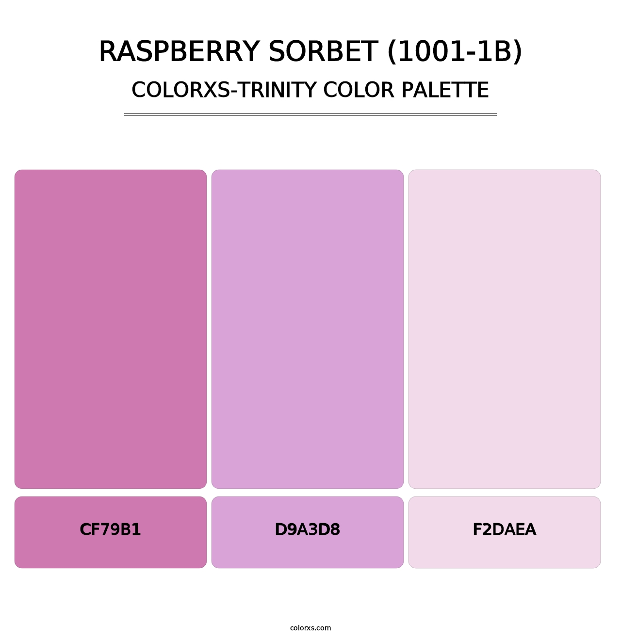 Raspberry Sorbet (1001-1B) - Colorxs Trinity Palette