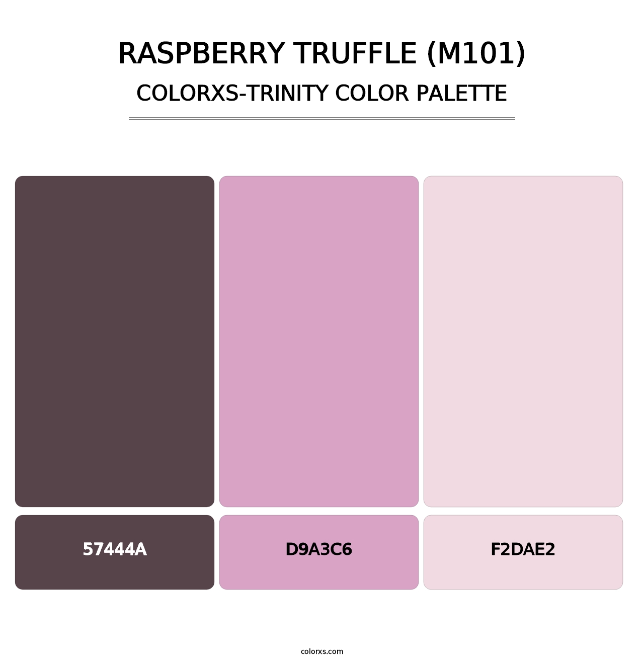 Raspberry Truffle (M101) - Colorxs Trinity Palette