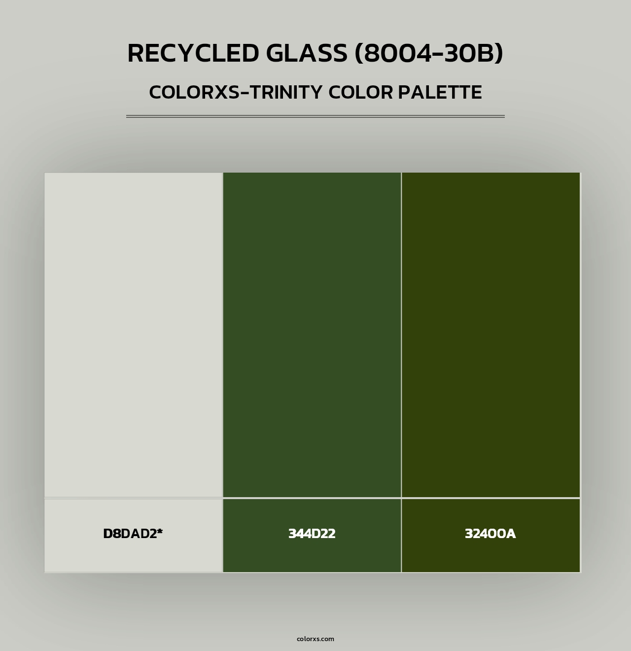 Recycled Glass (8004-30B) - Colorxs Trinity Palette