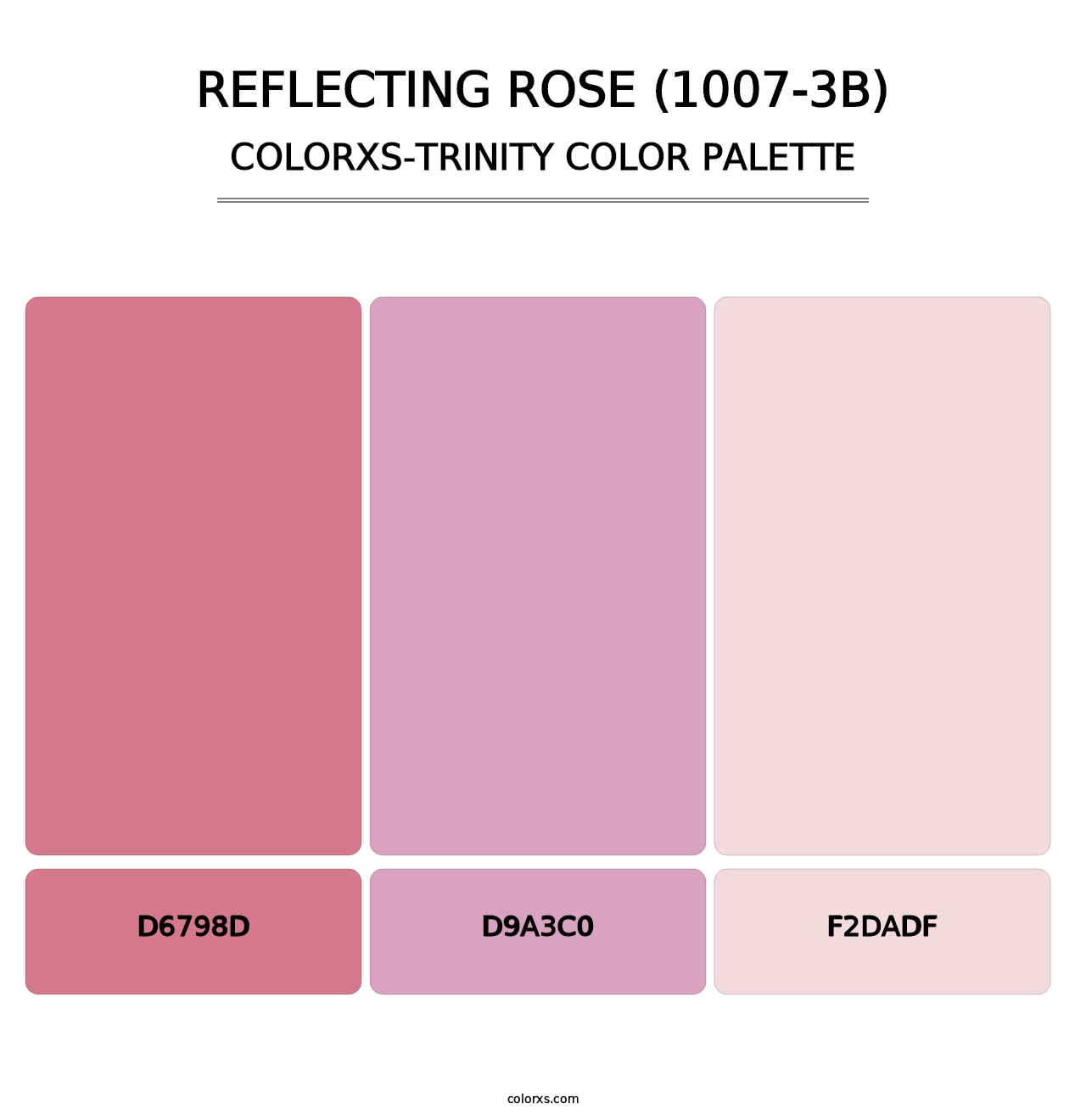 Reflecting Rose (1007-3B) - Colorxs Trinity Palette