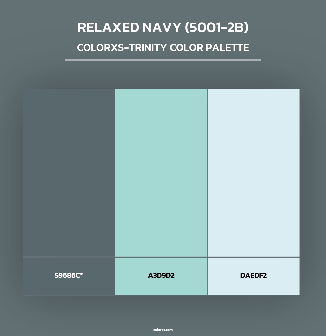 Relaxed Navy (5001-2B) - Colorxs Trinity Palette