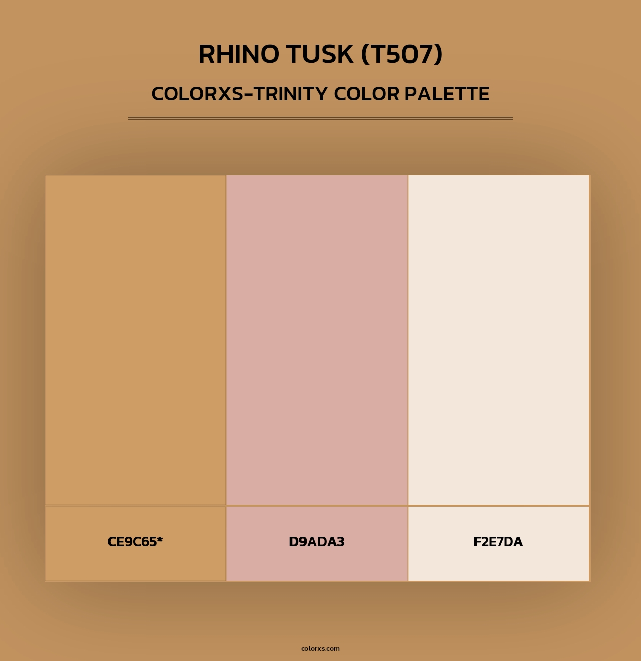 Rhino Tusk (T507) - Colorxs Trinity Palette