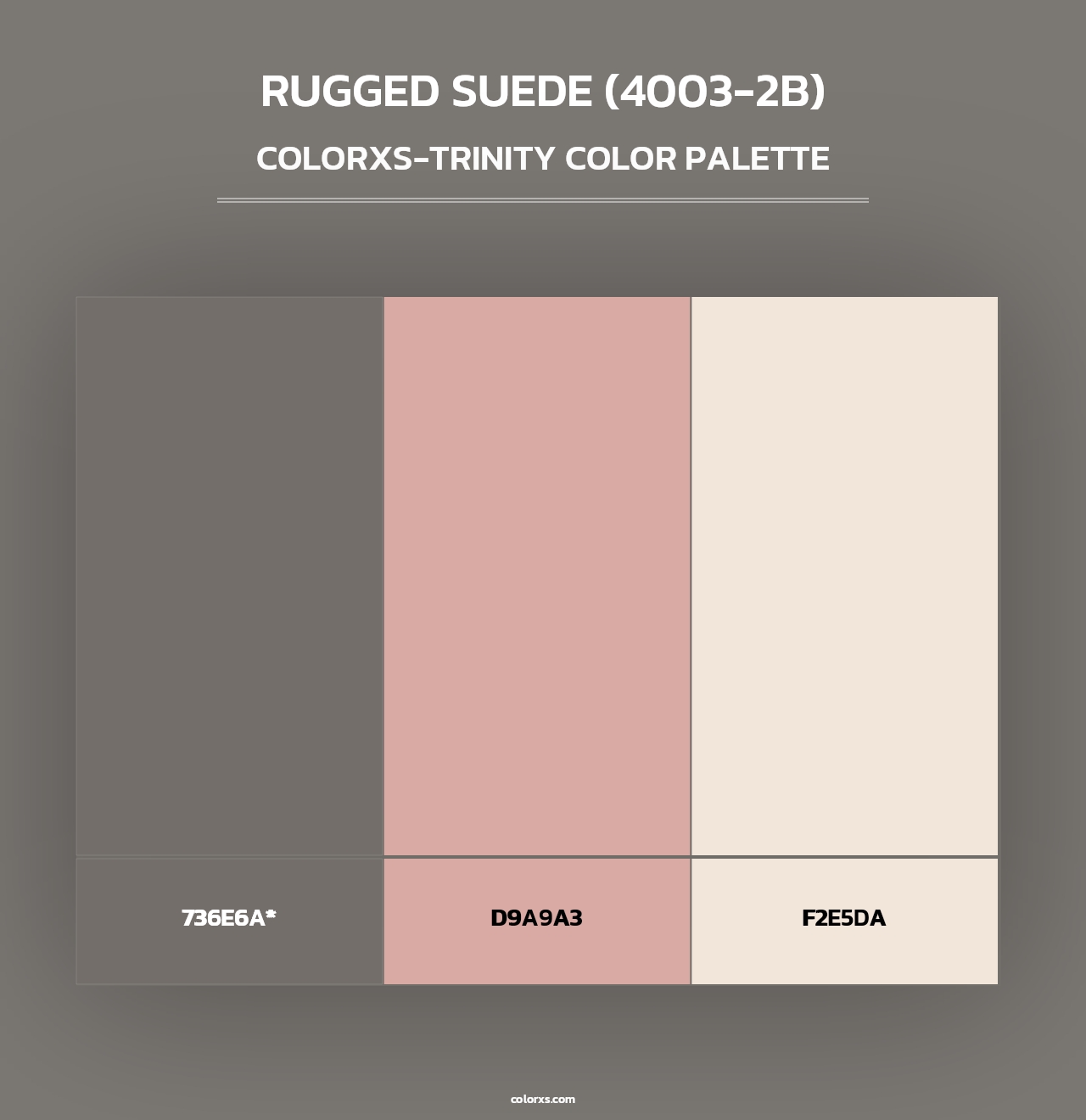 Rugged Suede (4003-2B) - Colorxs Trinity Palette