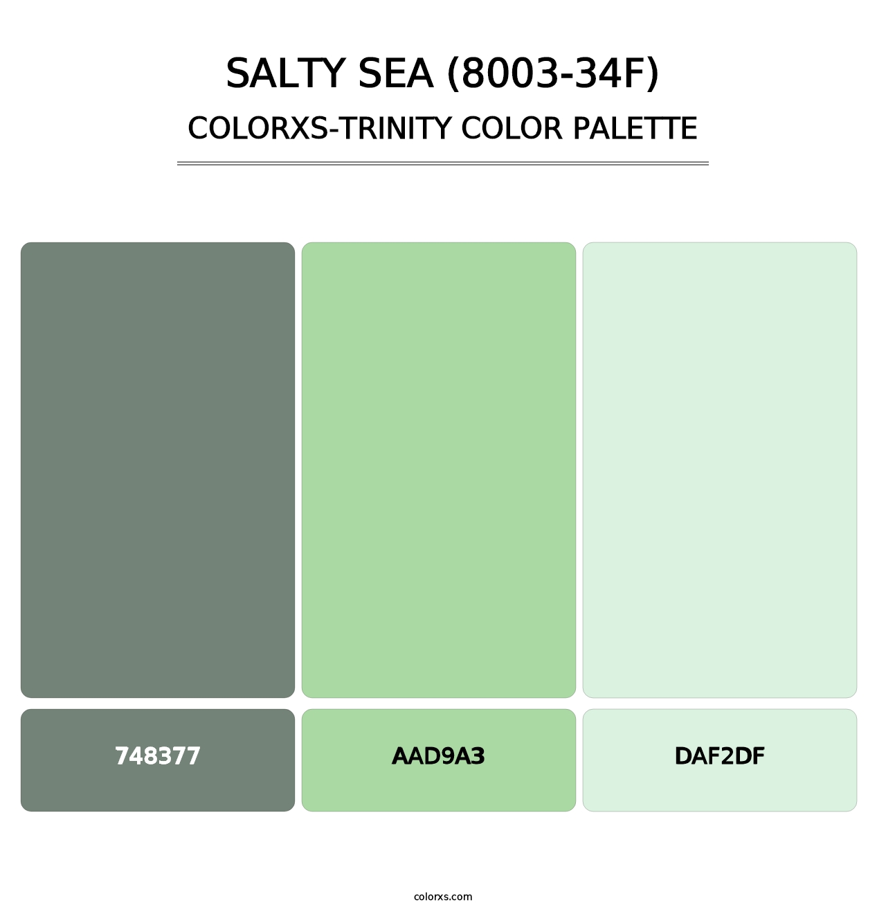 Salty Sea (8003-34F) - Colorxs Trinity Palette