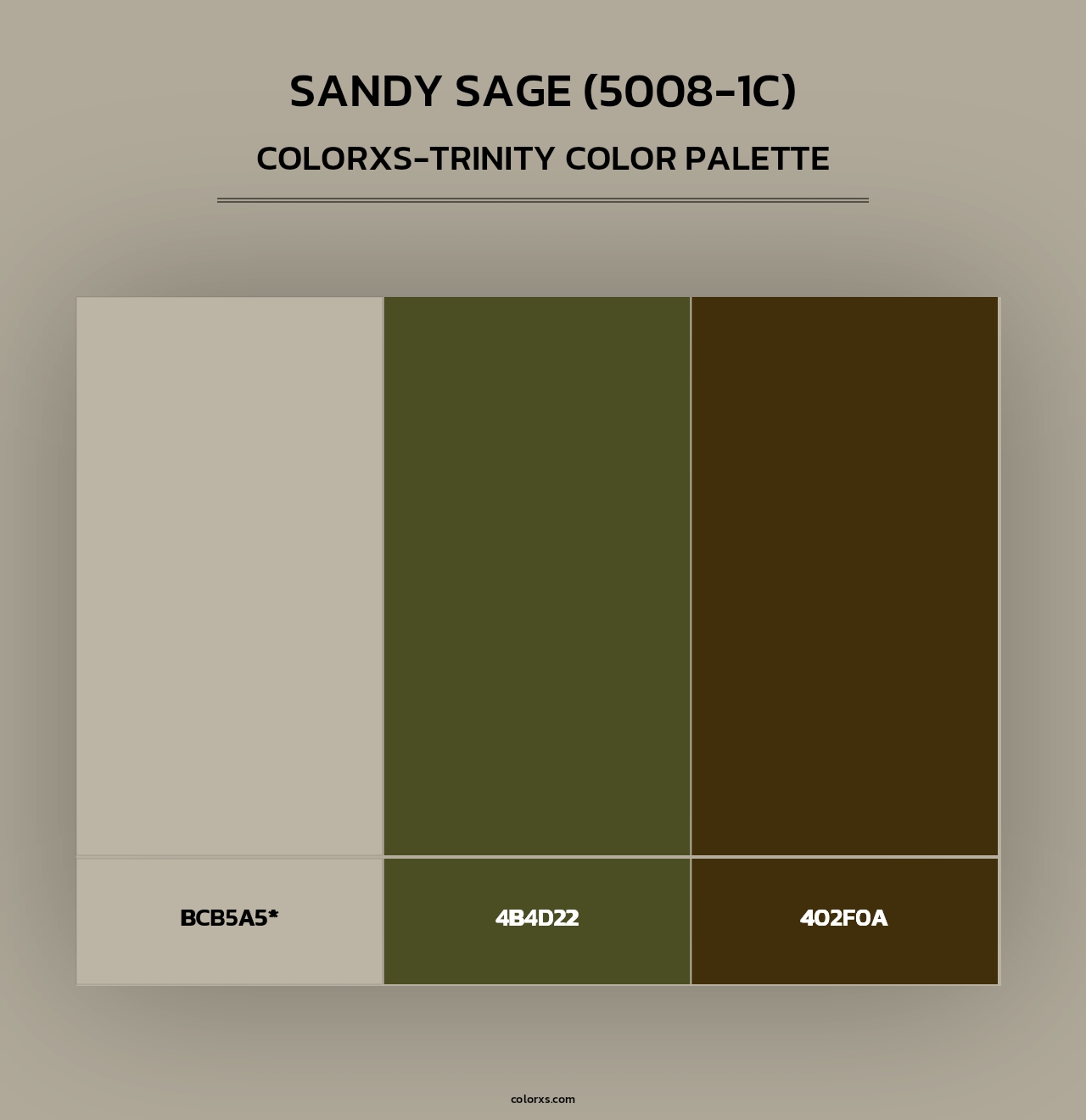Sandy Sage (5008-1C) - Colorxs Trinity Palette