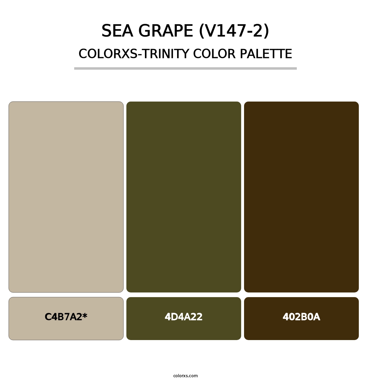 Sea Grape (V147-2) - Colorxs Trinity Palette