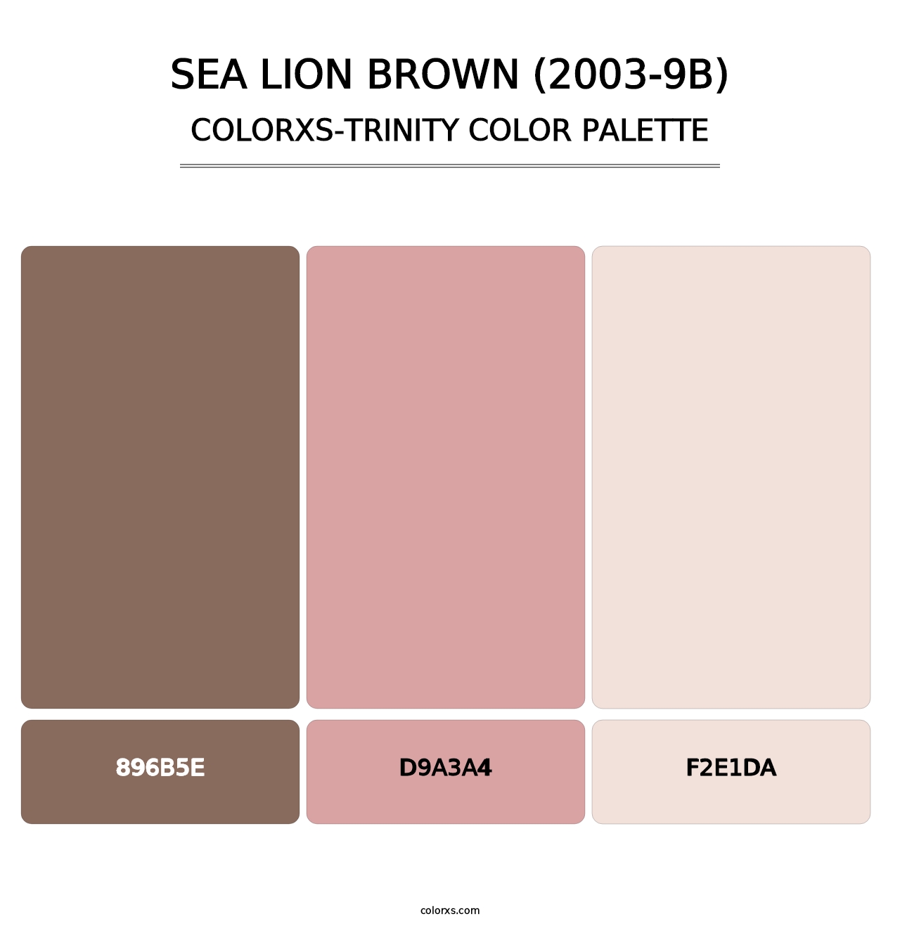 Sea Lion Brown (2003-9B) - Colorxs Trinity Palette
