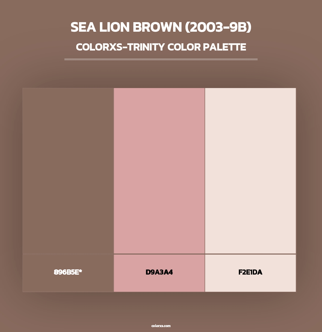 Sea Lion Brown (2003-9B) - Colorxs Trinity Palette