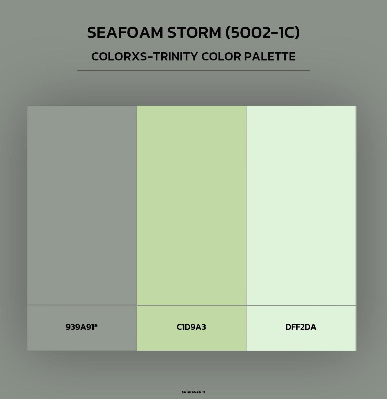Seafoam Storm (5002-1C) - Colorxs Trinity Palette