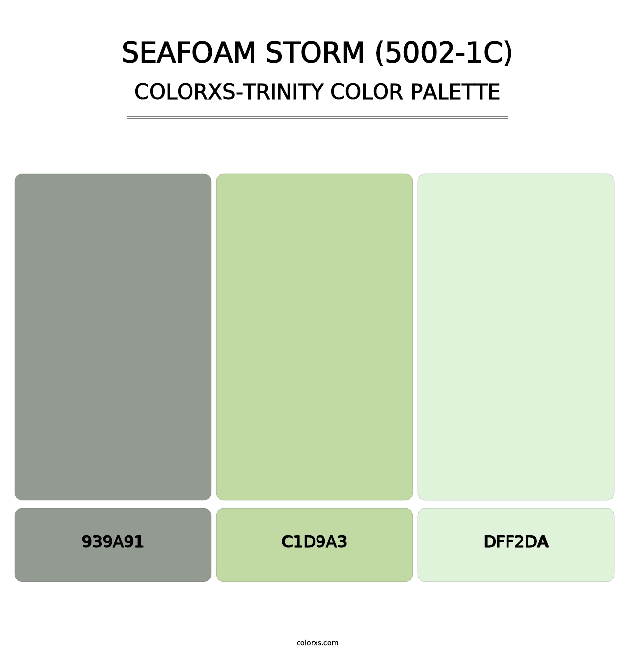 Seafoam Storm (5002-1C) - Colorxs Trinity Palette