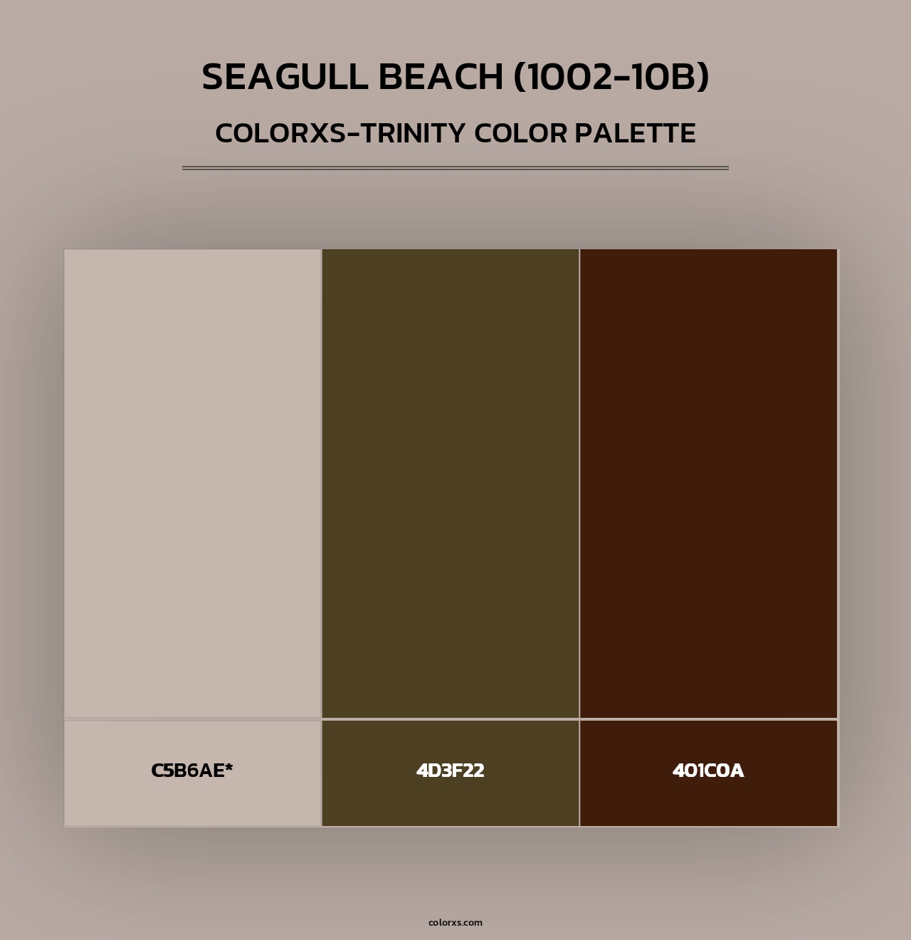 Seagull Beach (1002-10B) - Colorxs Trinity Palette