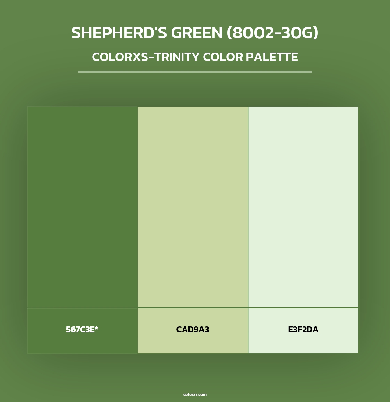 Shepherd's Green (8002-30G) - Colorxs Trinity Palette