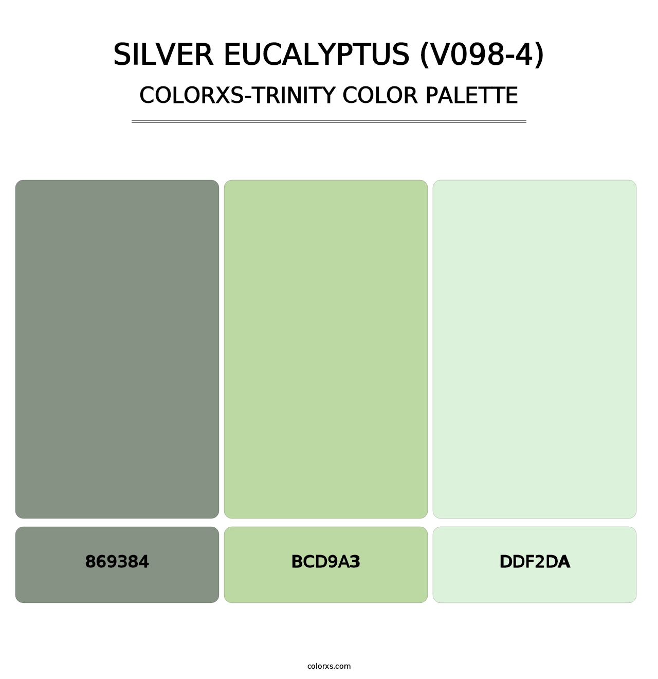 Silver Eucalyptus (V098-4) - Colorxs Trinity Palette
