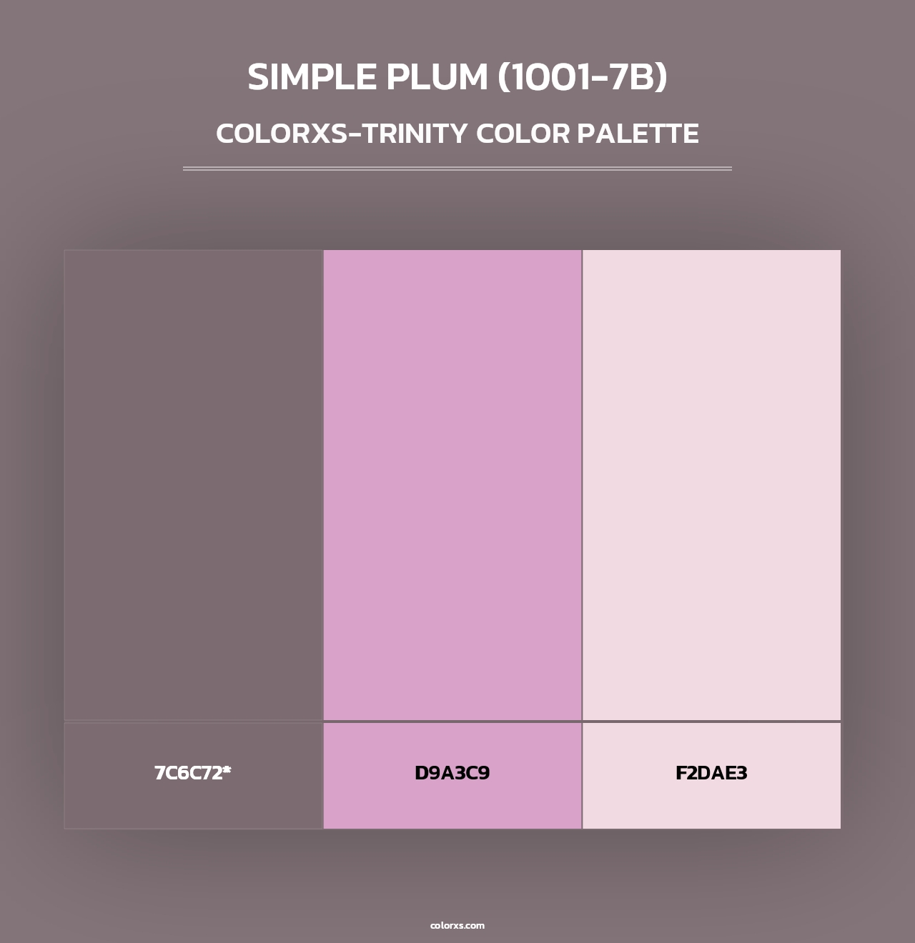 Simple Plum (1001-7B) - Colorxs Trinity Palette