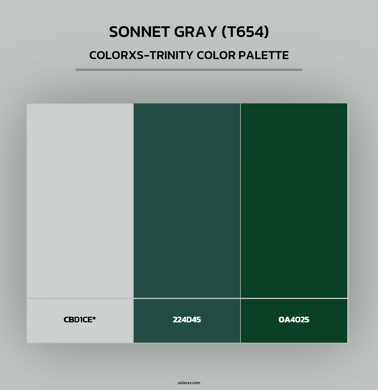 Sonnet Gray (T654) - Colorxs Trinity Palette