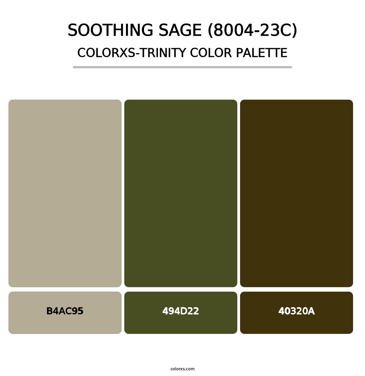 Soothing Sage (8004-23C) - Colorxs Trinity Palette