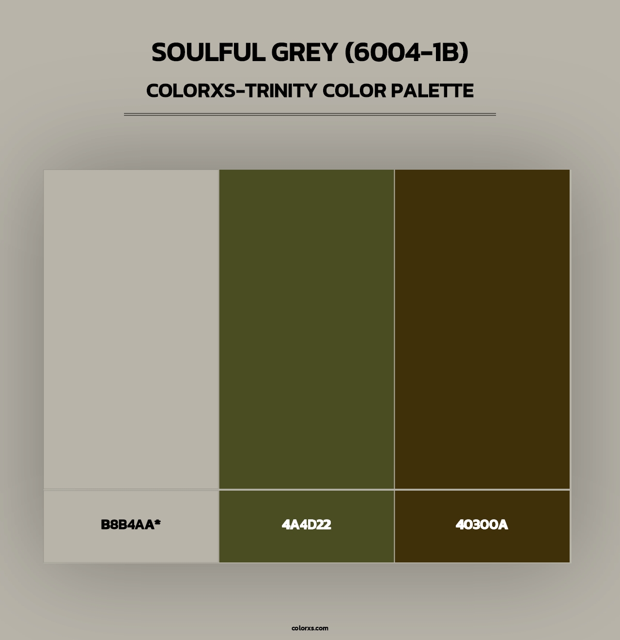 Soulful Grey (6004-1B) - Colorxs Trinity Palette